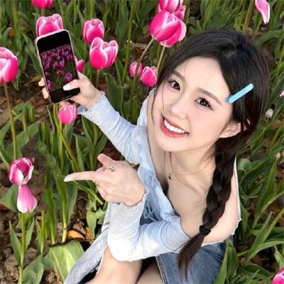 红纸鹤